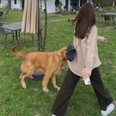 护花忙
